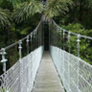 Meet your Posher, Pamela